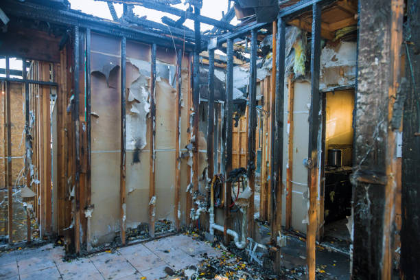 Professional Fire Damage Repair technician working in South Haven, MN